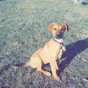 Meet your Posher, Andrea